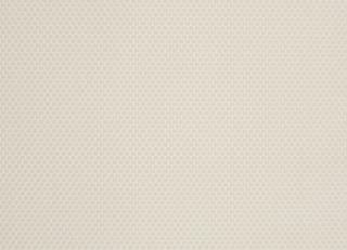 Фото - Обои Caselio Vitamine - 231588>