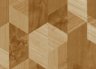 Фото - Обои Arte Contract Cedar - 628303>