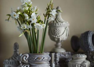 Фото - Карнизы Manor - 583436>