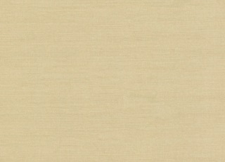 Фото - Обои Nobilis Seta - 625842>