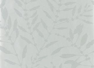 Фото - Обои Harlequin Anthozoa - 342821>