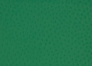 Фото - Ткани Kirkby design Hide Vegan Leathers - 631367>