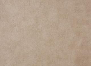 Фото - Обои Caselio Curiosity - 223618>