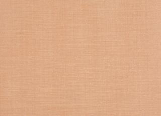 Фото - Ткани Prestigious Textiles Tussah - 447152>