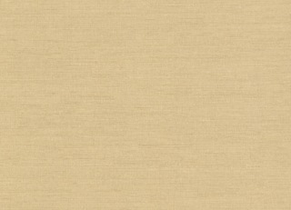 Фото - Обои Nobilis Seta - 625838>