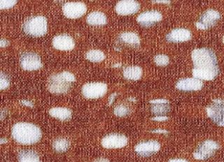 Фото - Ткани Elitis Deia - 378204>