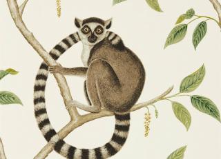 Фото - Обои Sanderson Glasshouse - 410813>