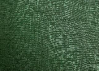 Фото - Обои Epoca Wallcoverings Amazon River - 551581>