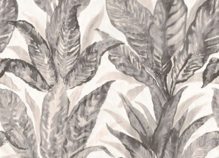 Фото - Ткани Pepe Penalver Portela - 628489>