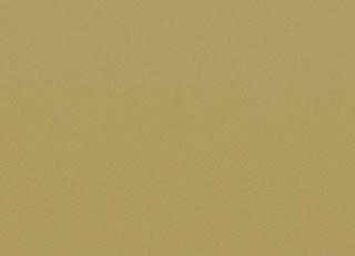 Фото - Ткани Faboie Plain VIII - 584154>