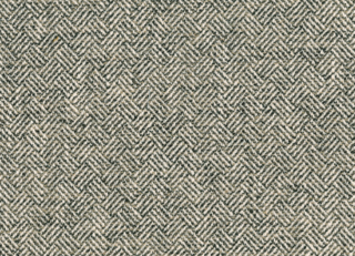 Фото - Ткани Pepe Penalver Minka - 624859>