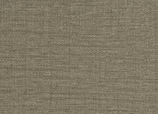 Фото - Обои Sirpi Forest - 454591>