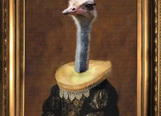 Фото - Аксессуары для интерьера Mineheart - 356181>