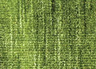 Фото - Ткани Foresti Home Collection Velluto Supreme - 563605>