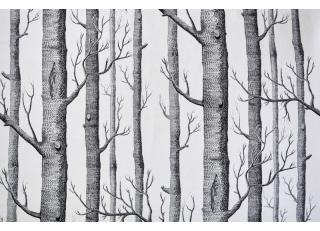 Фото - Ткани Cole & Son Contemporary Collection - 493263>