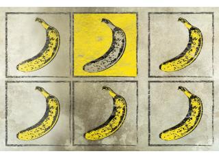 Фото - Обои Wall&Deco CODE 2013 CONTEMPORARY - 463505>