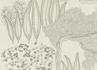 Фото - Обои Casamance Hikari - 601454>