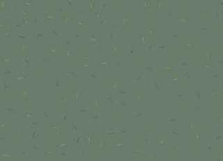 Фото - Обои Coordonne 40th Anniversary - 428722>