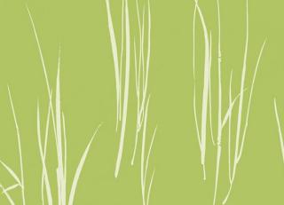 Фото - Обои Paper & Ink Coastal Chic - 308892>