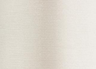 Фото - Ткани Dedar Rigata - 506164>