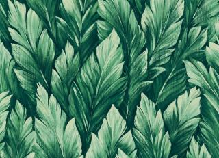 Фото - Обои Hohenberger Tropical - 545137>