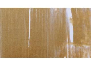 Фото - Обои La Scala Milano Opera V - 411329>