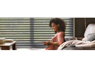 Фото - Текстильные жалюзи Silhouette - 587927>