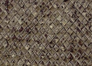 Фото - Обои CMO Paris Palm Tree - 550966>