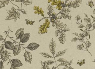 Фото - Ткани Clarke&Clarke Eden - 437211>