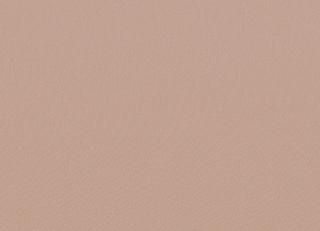 Фото - Ткани Faboie Plain VIII - 584148>