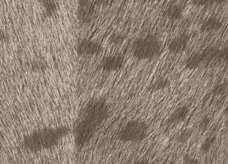 Фото - Обои Elitis Sauvages - 605251>