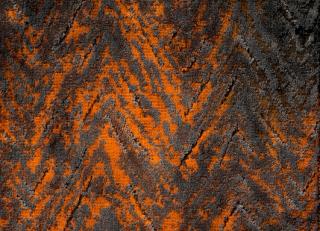 Фото - Бархатные шторы - 473954>