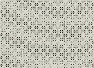 Фото - Ткани Clarke&Clarke Colony Fabrics - 305236>
