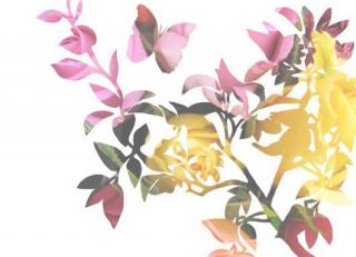 Фото - Обои Mr Perswall Creativity & Photo Art - 235059>