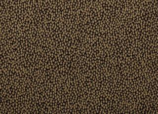 Фото - Ткани Clarke&Clarke Cesare - 295896>