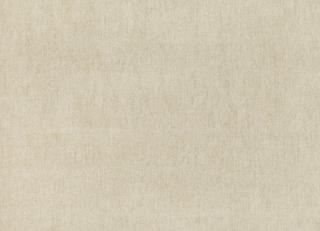 Фото - Ткани Mark Alexander Casual - 471980>