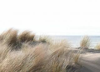 Фото - Обои с рисунком природы - 517581>