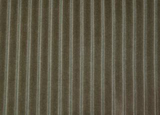 Фото - Ткани Foresti Home Collection Velluto a coste small - 563345>