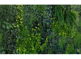 Фото - Обои Mr Perswall Captured Reality 2 - 488454>