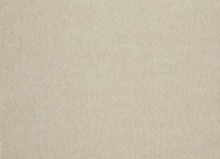 Фото - Ткани Alessandro Bini Shetland - 611456>