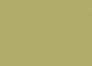 Фото - Ткани Lee Jofa Oscar de la Renta - 321970>