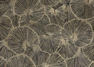 Фото - Ткани Lizzo Nara - 511458>