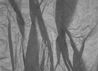 Фото - Обои Mr Perswall Photo - 235224>