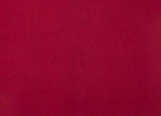 Фото - Ткани Дом CARO Plushery - 533225>