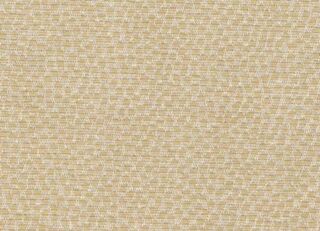 Фото - Обои Arlin Ambrosia - 627883>