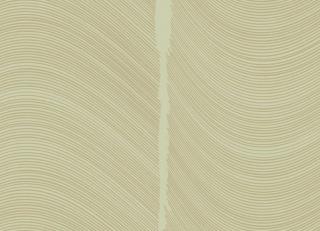 Фото - Обои Loymina Equilibre - 419430>