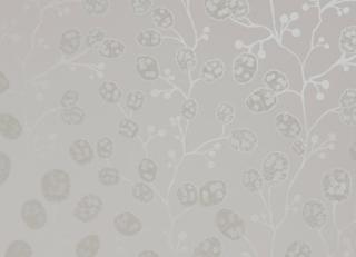 Фото - Обои Clarke&Clarke Botanica Wallcoverings - 361990>