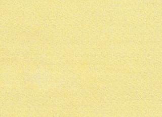 Фото - Ткани Rubelli Diva Shantung - 488556>