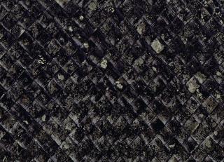 Фото - Обои CMO Paris Palm Tree - 550968>