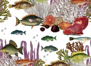 Фото - Обои Gaston y Daniela Origen Dos - 554572>